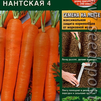 Морковь Нантская 4 (на ленте), 8 м  (Аэ)