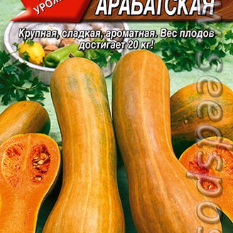 Тыква мускатная Арабатская, ЦВ,  1 г