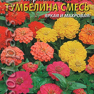 Цинния карликовая Тумбелина, Смесь, 20 шт.