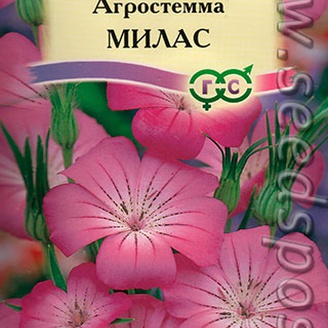 Агростема Милас, 0,5 г