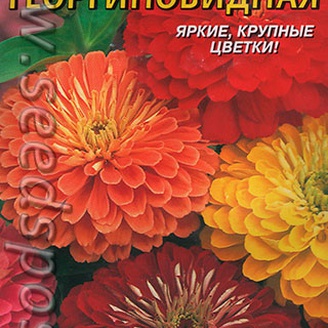 Цинния Георгиновидная, Смесь, 0,3 г