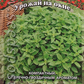 Базилик Василиск, 0,3 г Урожай на окне