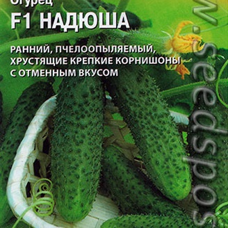 Огурец Надюша F1, 8 шт. (Seminis)