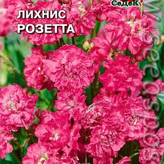 Лихнис Розетта, 0,25 г