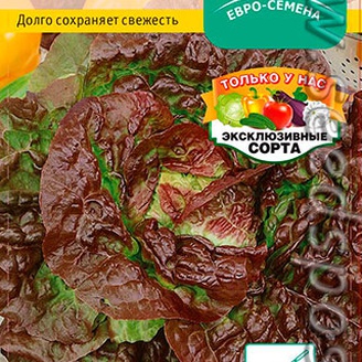 Салат листовой Сивка-бурка, 1 г Эксклюзивные сорта