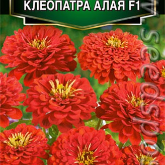 Цинния Клеопатра Алая F1, 0,2 г