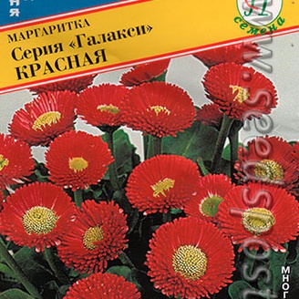 Маргаритка Галакси Красная, 10 драже