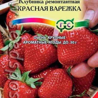 Клубника ремонтантная Красная варежка, 0,01 г