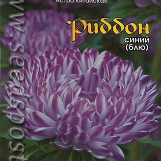 Астра китайская Риббон Блю, 30 шт.