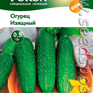 Огурец Изящный, 0,5 г