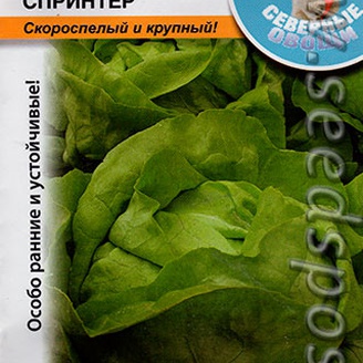 Салат кочанный Спринтер, 1 г Северные овощи