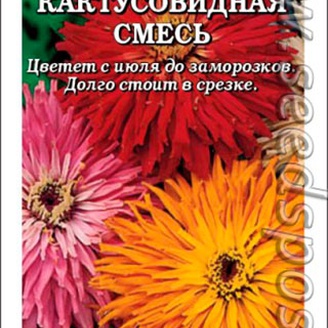 Цинния Кактусовидная, Смесь, 0,3 г