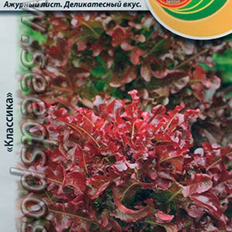 Салат листовой Уно Моменто, 0,5 г