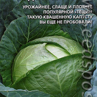 Капуста белокочанная Чудо на Засол F1, 0,3 г Семена из Голландии