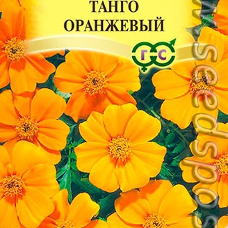 Бархатцы отклоненные Танго Оранжевый, 10 шт. Элитная клумба