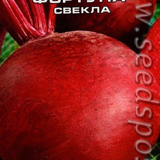 Свекла Фортуна, 2 г