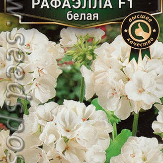 Пеларгония Рафаэлла Белая F1, мног, 5 шт. 