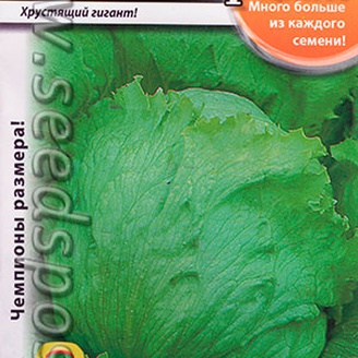 Салат кочанный Айсберг Русский размер, 0.5  г