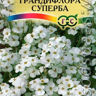 Арабис Грандифлора Суперба, 0,1 г