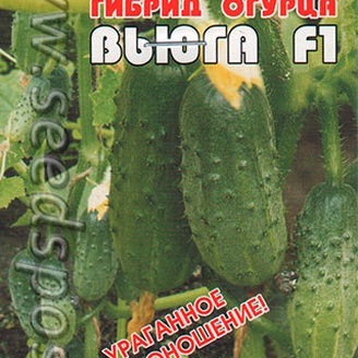 Огурец Вьюга F1, 8 шт.