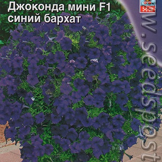 Петуния Джоконда Мини Синий бархат F1, 7 шт. Farao