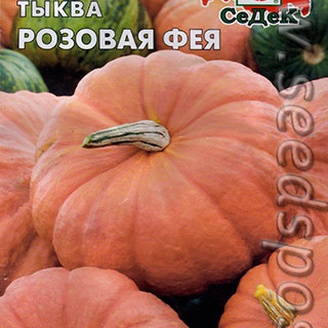 Тыква Розовая Фея, 1 г