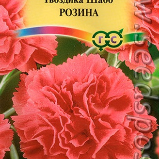 Гвоздика садовая Шабо Розина, 0,1 г