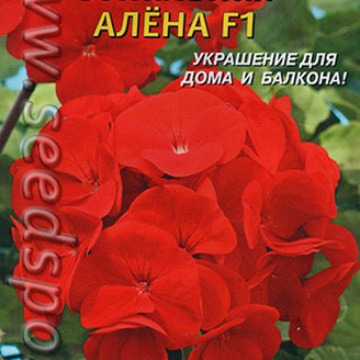 Пеларгония зональная Алена F1, 3 шт.