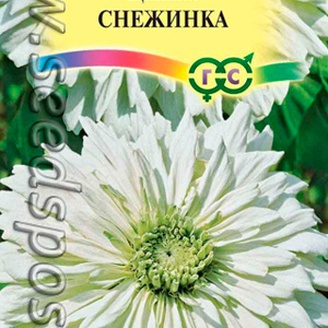 Цинния изящная Снежинка, 0,2 г