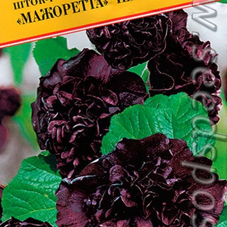 Шток-роза Мажоретта Черная, 0,2 г