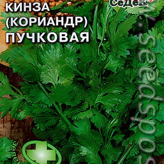 Кинза (кориандр) Пучковая, 2 г Зеленый доктор