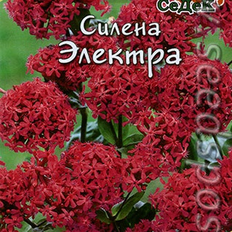 Силена (смолевка) Электра, 0,1 г