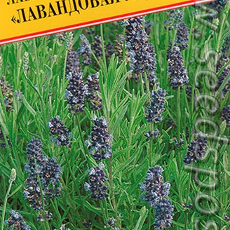 Лаванда Лавандовая леди, 0,01 г