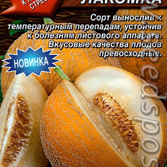 Дыня Медовая лакомка®, 1 г