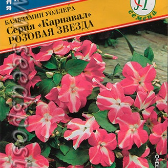 Бальзамин Уоллера Карнавал Розовая звезда, 8 шт.