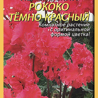 Цикламен персидский Рококо Темно-красный, 3 шт.