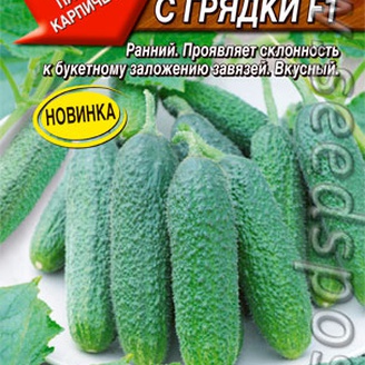 Огурец Подарки с грядки F1, 0,25 г