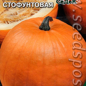 Тыква Стофунтовая, 2 г