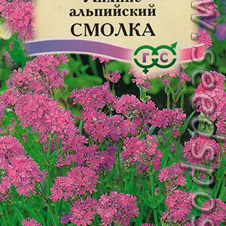 Лихнис альпийский Смолка, 0,05 г