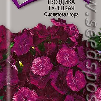 Гвоздика турецкая Фиолетовая гора, Н50см, d10см, 0,2 г