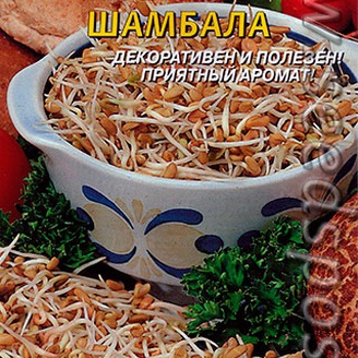 Пажитник (грибная трава) сенной Шамбала, 1 г