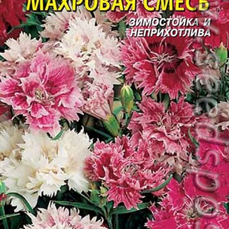 Гвоздика перистая Махровая, Смесь, 0,1 г