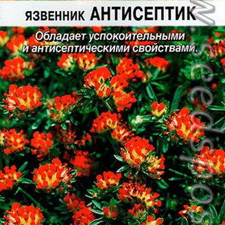 Язвенник Антисептик, 0,3 г Лечебный огород