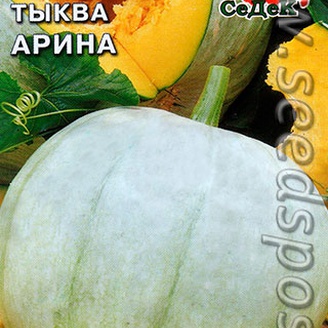 Тыква Арина, 2 г