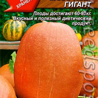 Тыква крупноплодная Сахарный гигант, 2 г